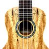 ISLANDER MAC-4 CONCERT UKULELE - NATURAL