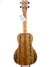 ISLANDER MAC-4 CONCERT UKULELE - NATURAL