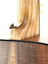 MARTIN LXK2 LITTLE MARTIN KOA
