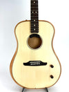 FENDER HIGHWAY DREAD RW