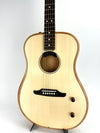 FENDER HIGHWAY DREAD RW