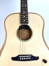 FENDER HIGHWAY DREAD RW