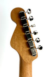 FENDER HIGHWAY DREAD RW