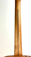 FENDER HIGHWAY DREAD RW