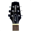 USED HAMER SPECIAL P-90