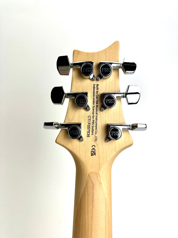 PRS SE SWAMP ASH SPECIAL BLUE