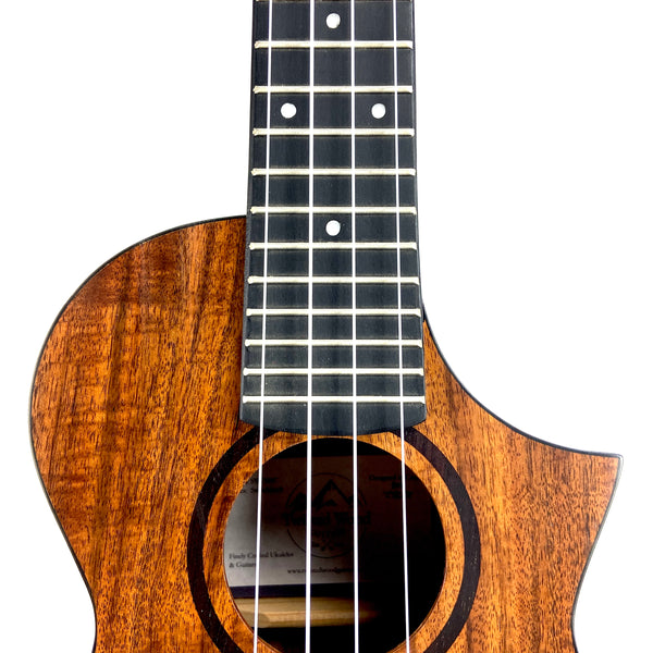 OMG SWITCHBACK UKE TW-SW-700C