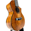 OMG SWITCHBACK UKE TW-SW-700C