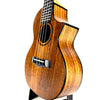 OMG SWITCHBACK UKE TW-SW-700C