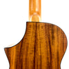 OMG SWITCHBACK UKE TW-SW-700C