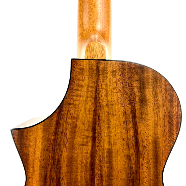OMG SWITCHBACK UKE TW-SW-700C