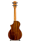 OMG SWITCHBACK UKE TW-SW-700C