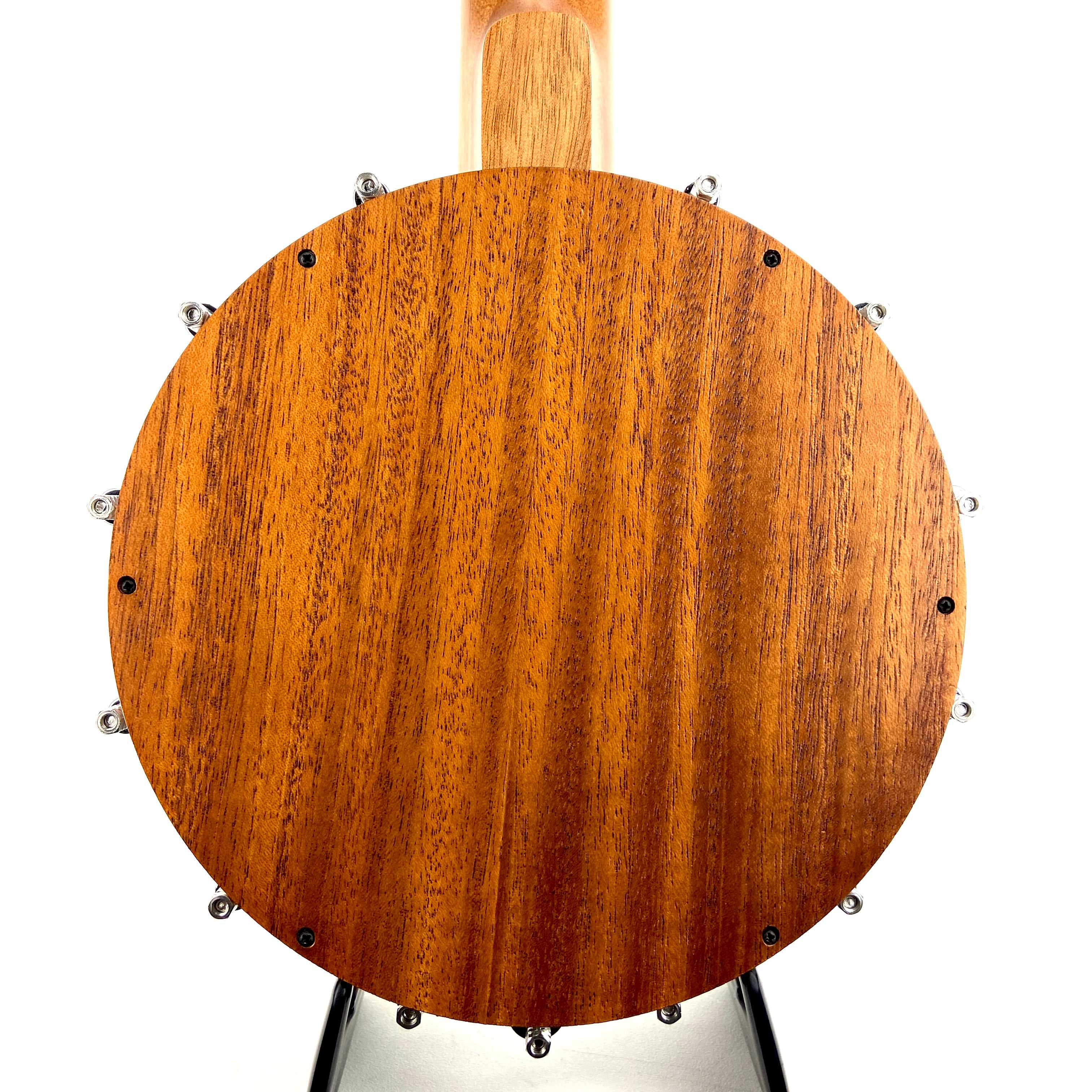 KALA CONCERT BANJO UKULELE