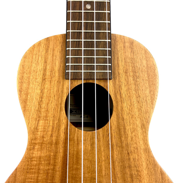 ISLANDER AC-4 CONCERT UKULELE