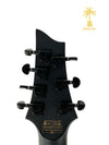PRE-OWNED SCHECTER DAMIAN 7 STRING