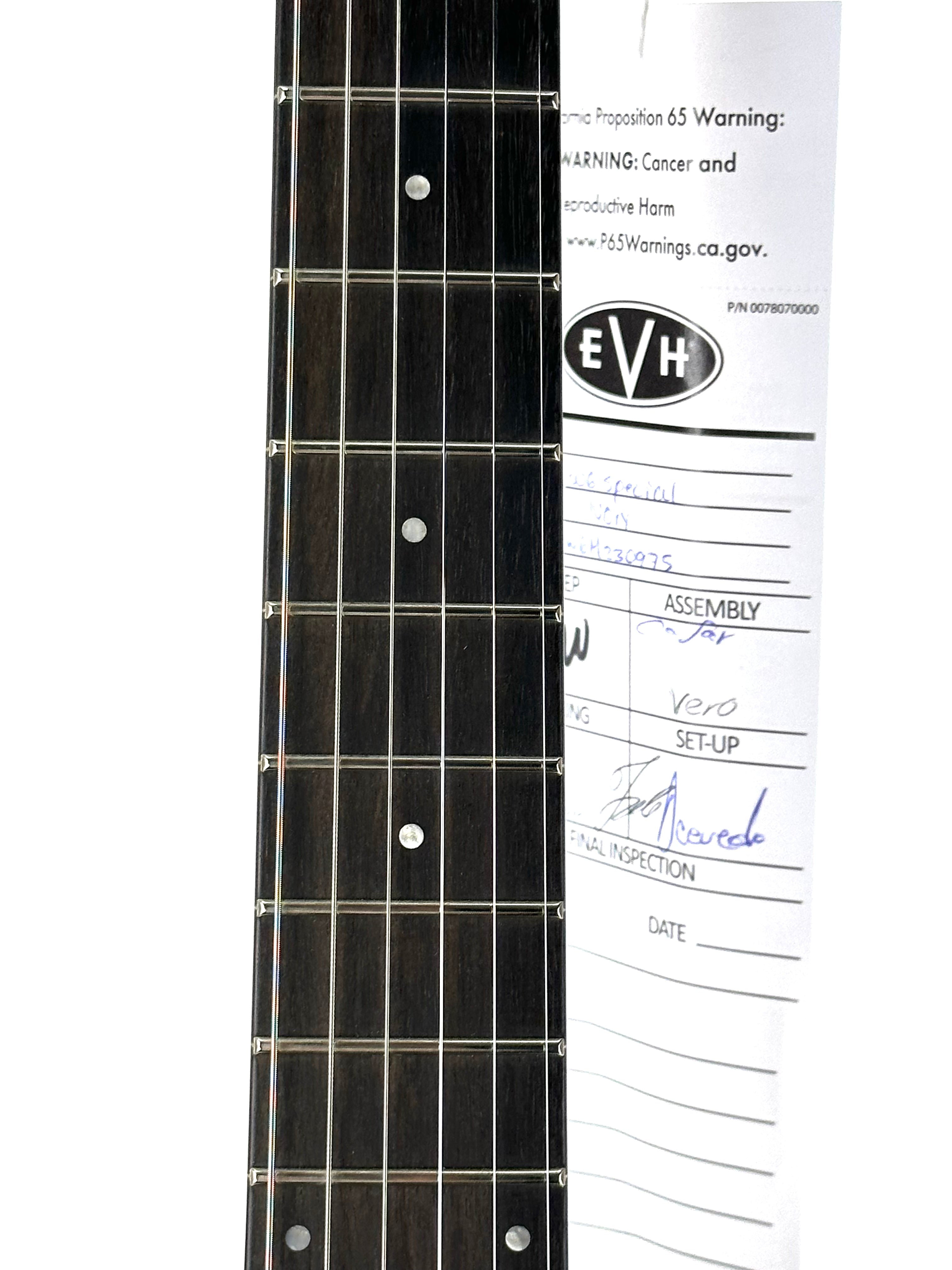 EVH WOLFGANG SPECIAL WITH FLOYD - IVORY