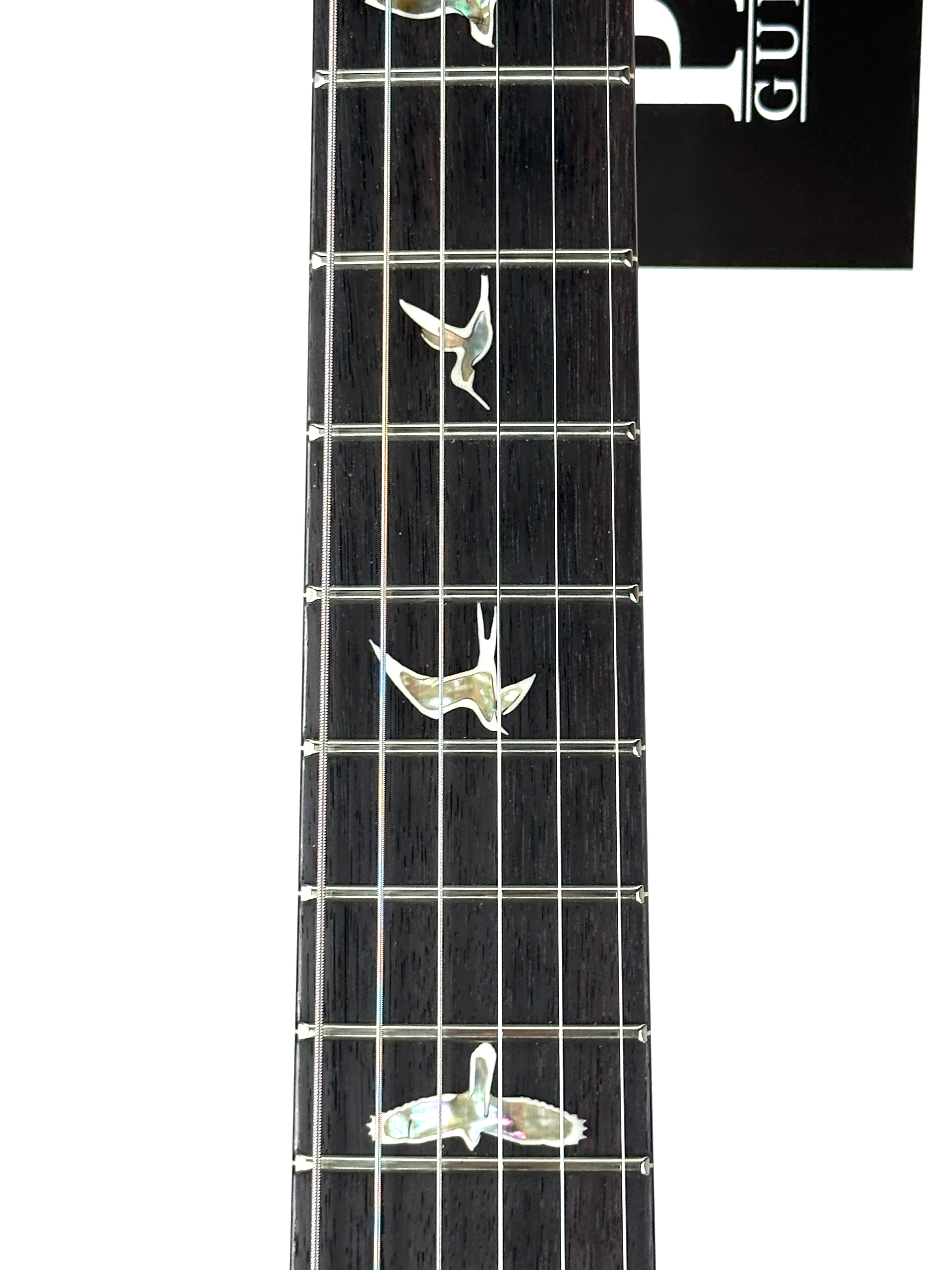 PRS CORE HOLLOWBODY II PIEZO - PURPLE IRIS