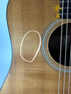 PRE-OWNED TAYLOR 110 DREADNOUGHT ACOUSTIC