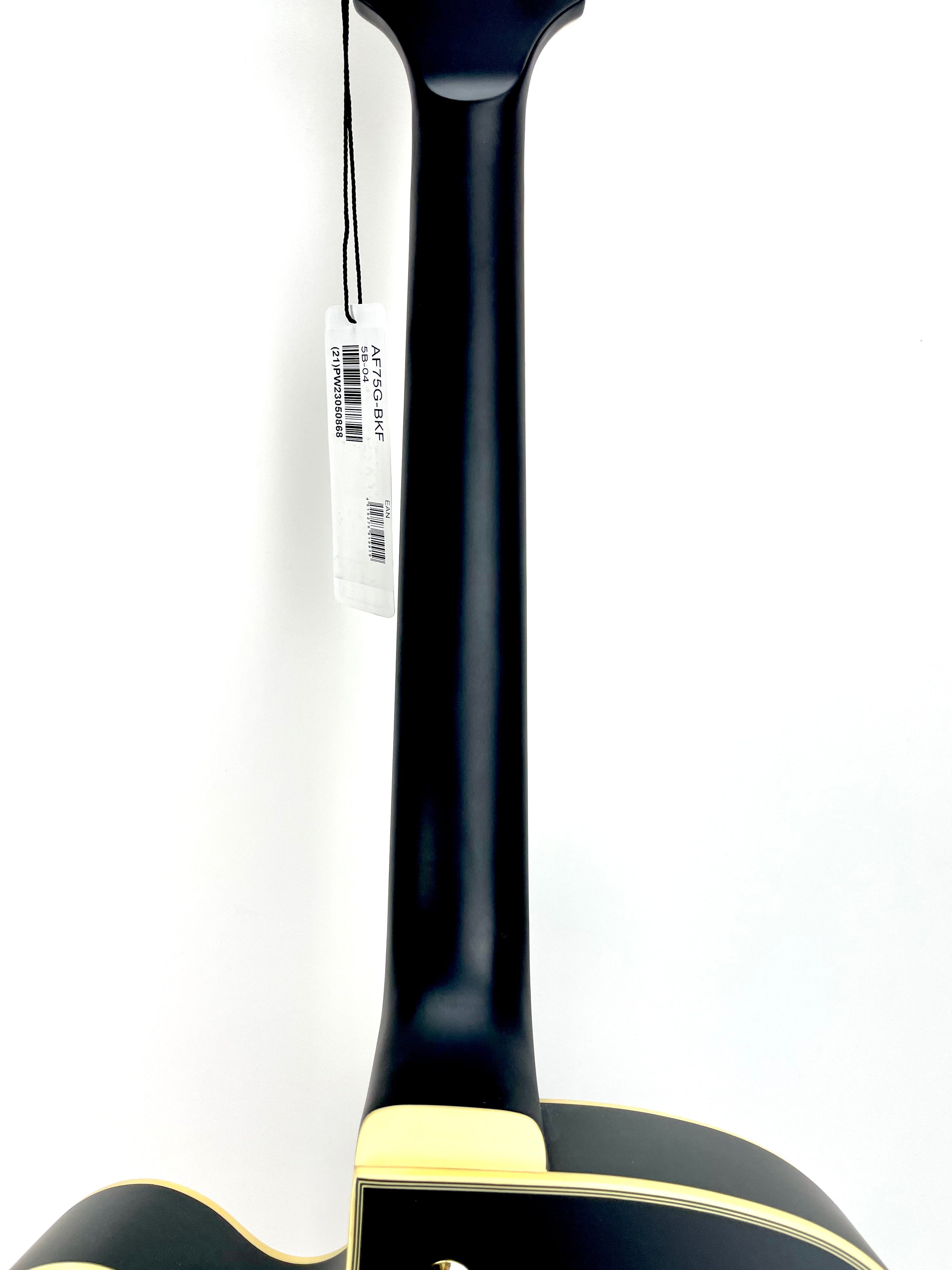 IBANEZ ARTCORE