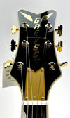 GRETSCH G6134TG LTD PAISLEY PEN
