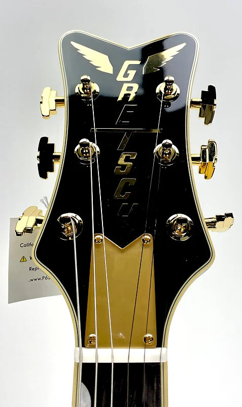 GRETSCH G6134TG LTD PAISLEY PEN