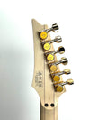 IBANEZ EL GTR VAI SIG W/ CASE