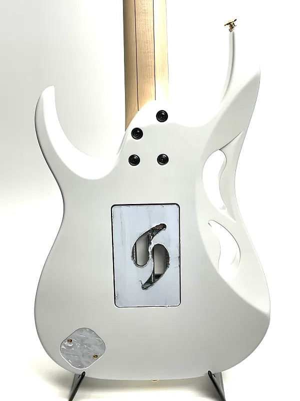 IBANEZ EL GTR VAI SIG W/ CASE