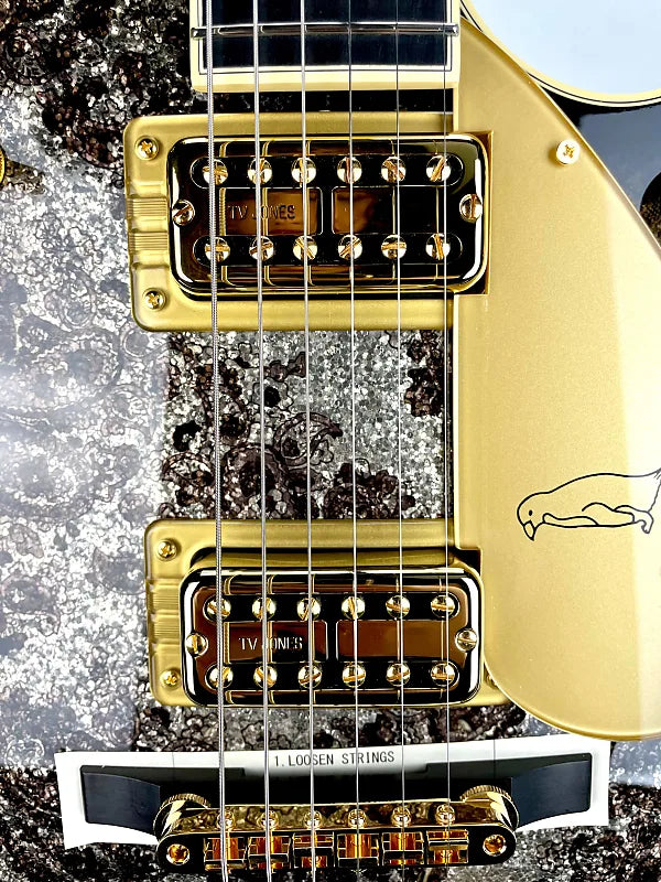 GRETSCH G6134TG LTD PAISLEY PEN