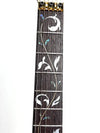 IBANEZ EL GTR VAI SIG W/ CASE