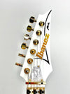 IBANEZ EL GTR VAI SIG W/ CASE