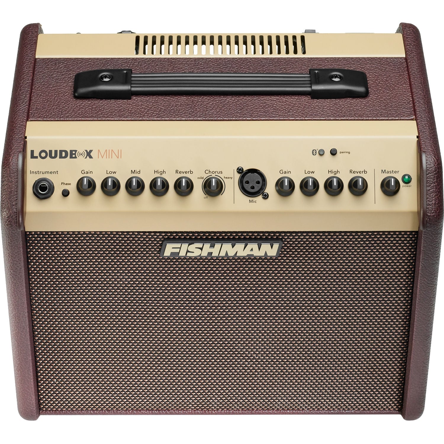 FISHMAN LOUDBOX MINI + BLUETOOTH ACOUSTIC AMP