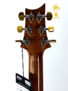 PRS CORE 24-08 10 TOP - PURPLE IRIS