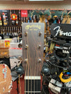 MARTIN D-12 ROAD SERIES ACOUSTIC GUITAR-NATURAL