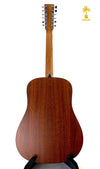 MARTIN D-X2E 12 String
