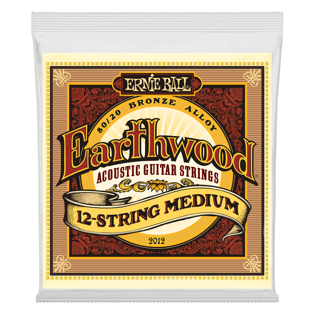 ERNIE BALL EARTHWOOD MEDIUM BRONZE ACOUSTIC 12 STRING