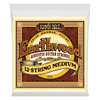ERNIE BALL EARTHWOOD MEDIUM BRONZE ACOUSTIC 12 STRING