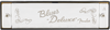 FENDER BLUES DELUXE HARMONICA-KEY OF A