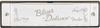 FENDER BLUES DELUXE HARMONICA-KEY OF D