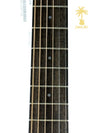 IBANEZ AW54CE ACOUSTIC-ELECTRIC GUITAR- OPEN PORE NATURAL