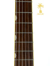 GRETSCH ELECTROMATIC G5655TG BLACK GOLD
