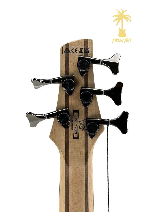 IBANEZ SR305E 5 STRING BASS PEARL WHITE