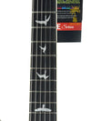 PRS SE HOLLOWBODY STANDARD PIEZO - DOGHAIR SMOKEBURST
