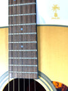 PRE-OWNED CRAFTER DV200/NV DREADNOUGHT ACOUSTIC