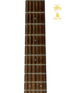 PRE-OWNED CRAFTER DV200/NV DREADNOUGHT ACOUSTIC