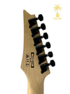 IBANEZ GRG120Z - NATURAL GRAY BURST