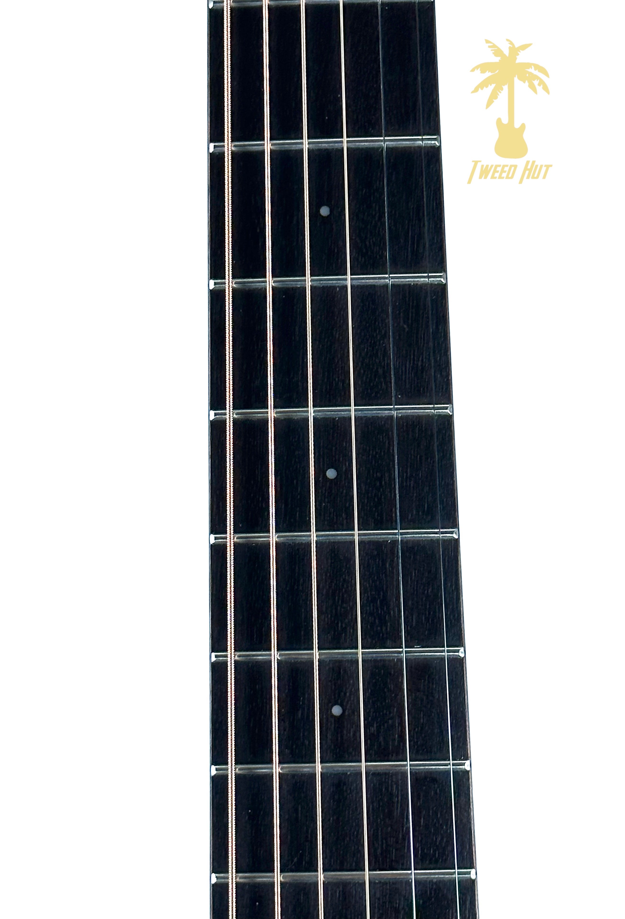 PRE-OWNED BREEDLOVE PURSUIT CONCERTINA E 12 FRET WITH GIG BAG