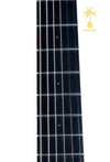 PRE-OWNED BREEDLOVE PURSUIT CONCERTINA E 12 FRET WITH GIG BAG