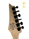 PRE-OWNED IBANEZ RG450EXB - BLUE METALLIC