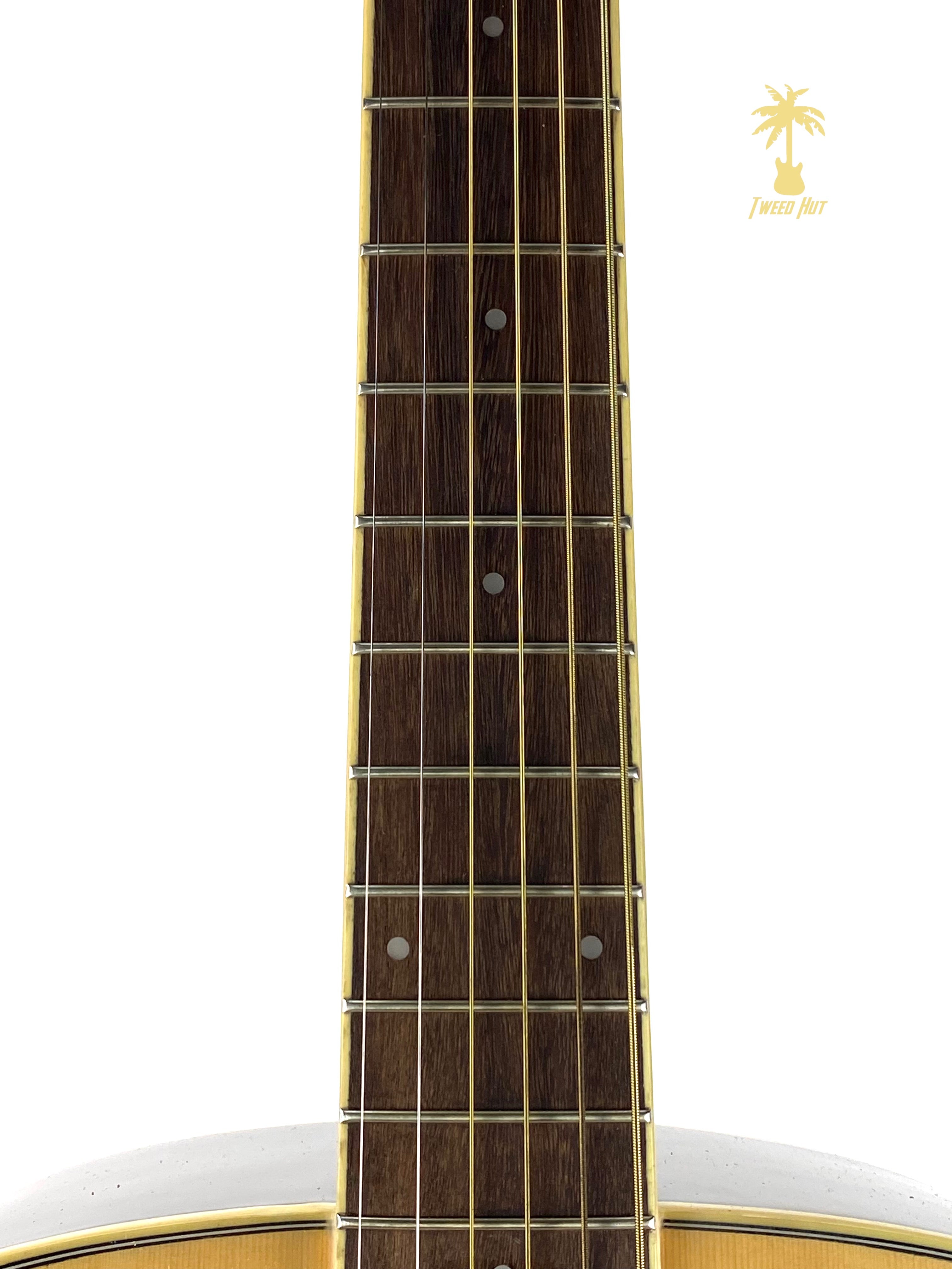 IBANEZ PF15LNT LEFT HANDED ACOUSTIC