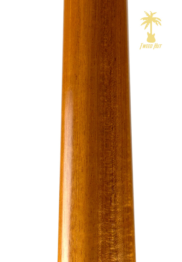 TAYLOR 416CE W/ ES2 ELECTRONICS